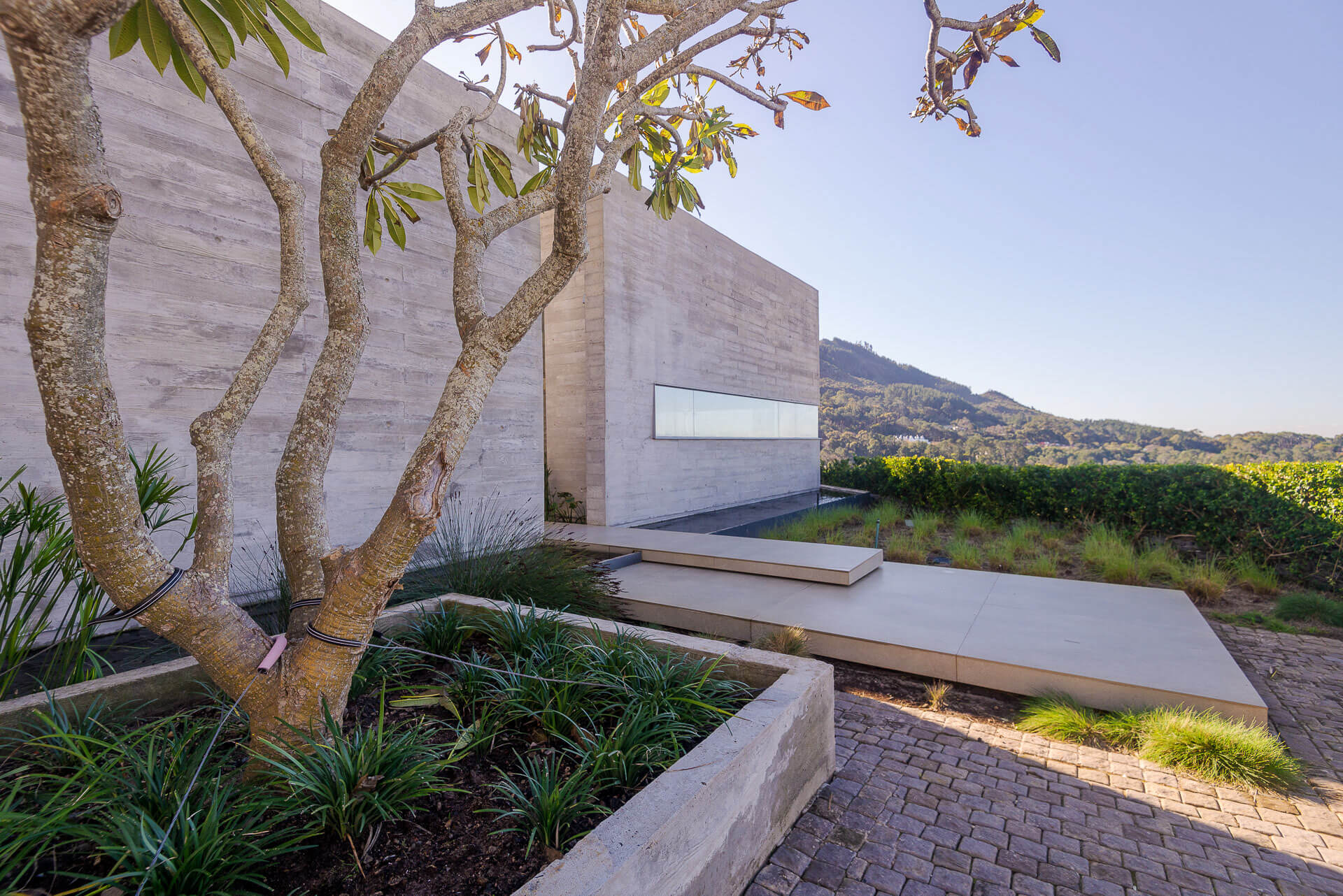 Sixty 8 Media Photography Outside Beau Constantia